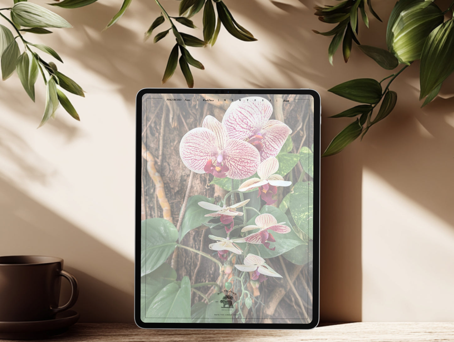 Pink Orchid | WeekDays