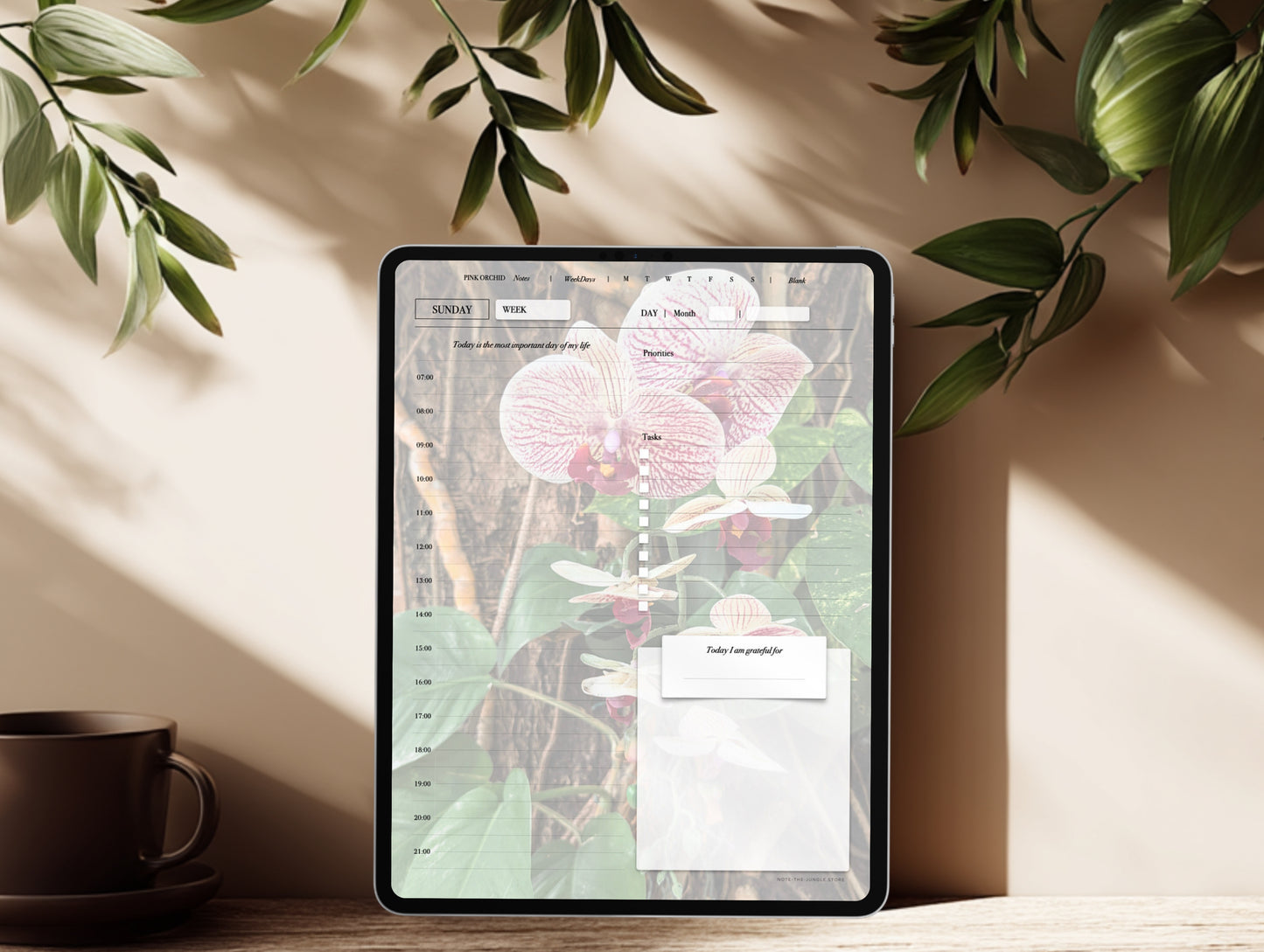 Pink Orchid | WeekDays