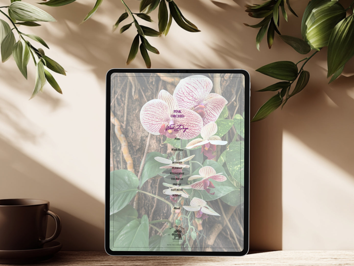 Pink Orchid | WeekDays