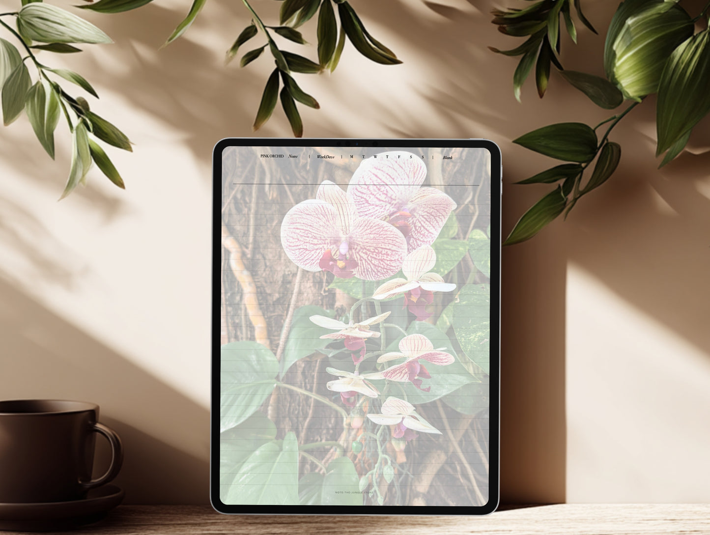 Pink Orchid | WeekDays