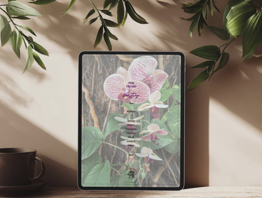 Pink Orchid | WeekDays