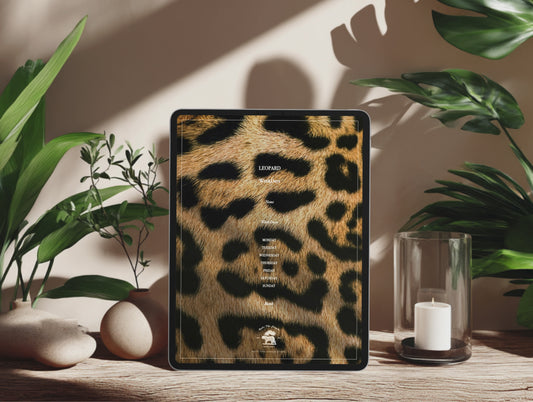 Leopard | WeekDays